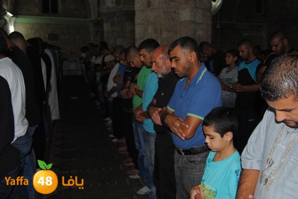 tarawe7 ramlasjju (54).JPG